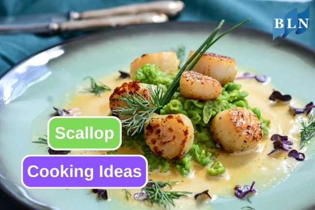 The Versatility of Scallop in Exquisite Dishes